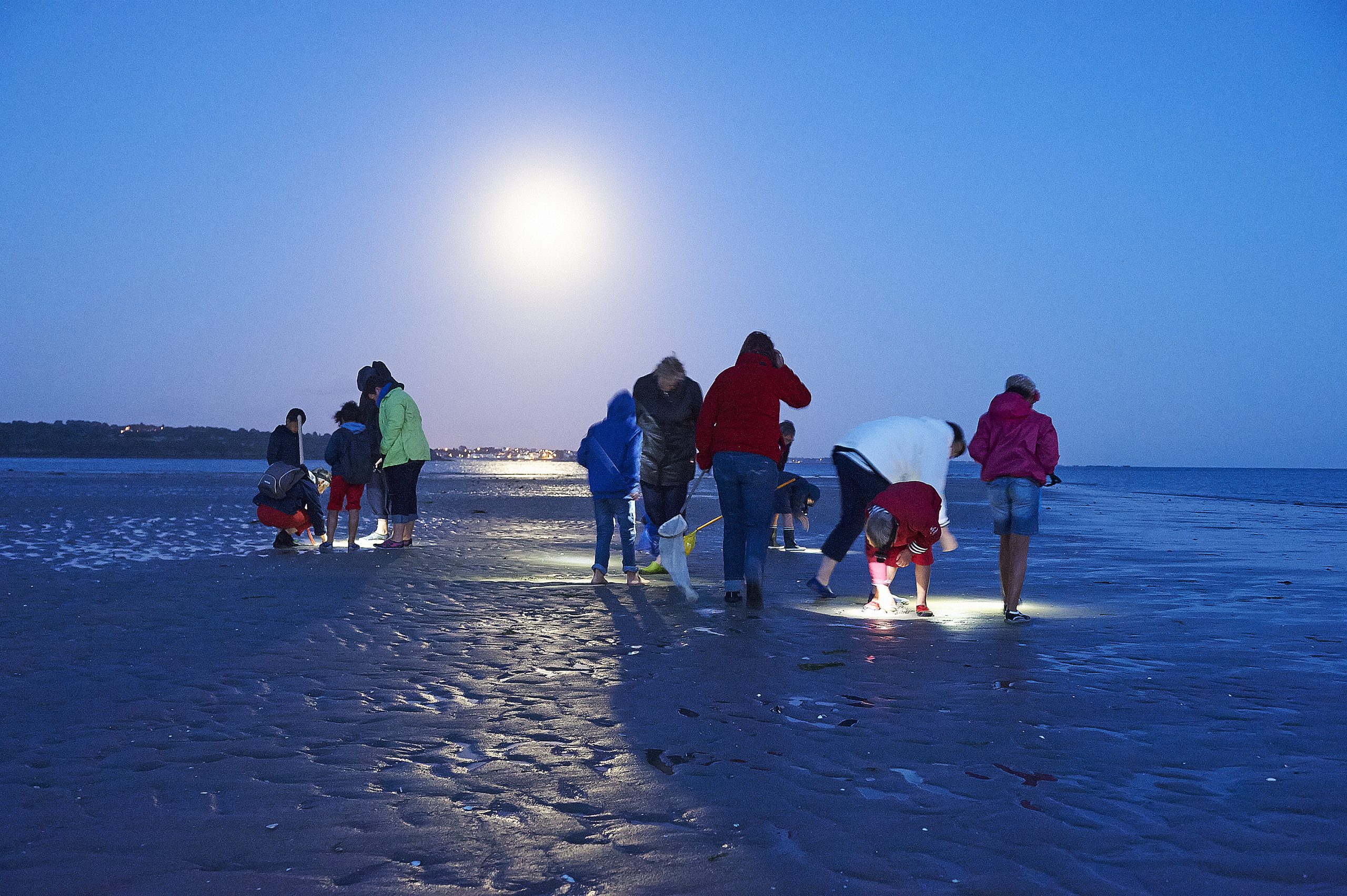 Nature outing to discover the foreshore