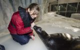 Care-polar-seal-Copyright-Oceanopolis