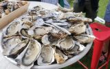 Oyster Tasting