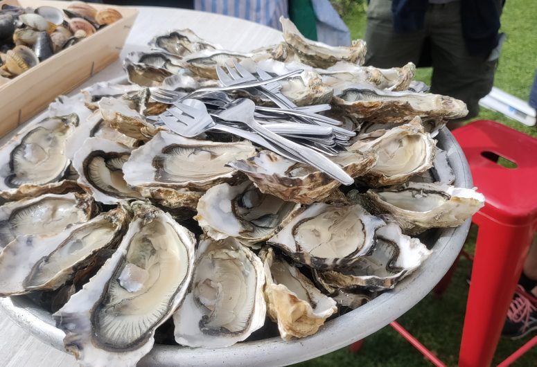 Oyster Tasting