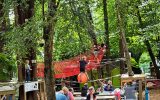 Bonobo Parc Accrobranche à Quimper