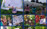Activités Charlington Academy