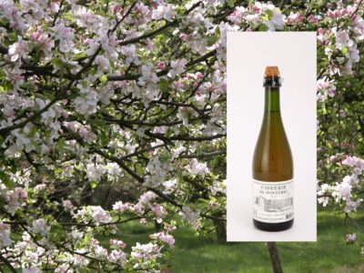 cidre-ponterec-pommier-foret-fouesnant