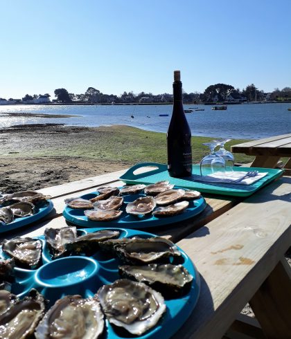 Dégustation de fruits de mer