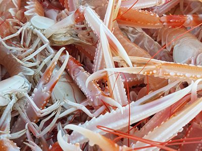 Fête de la langoustine – Plobannalec-Lesconil – Pays Bigouden – Bigoudenjoy