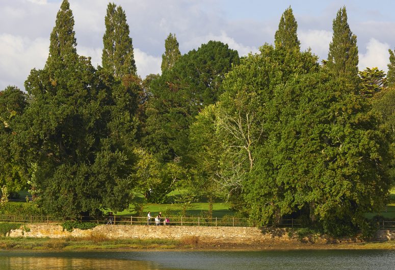 Vue sur le Golf de Cornouaille