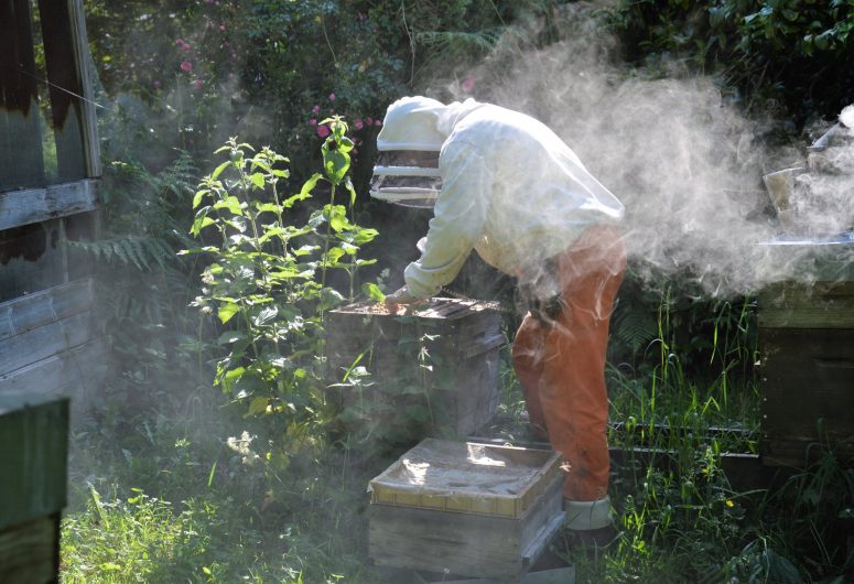 Beekeeper – Fouesnant honey house