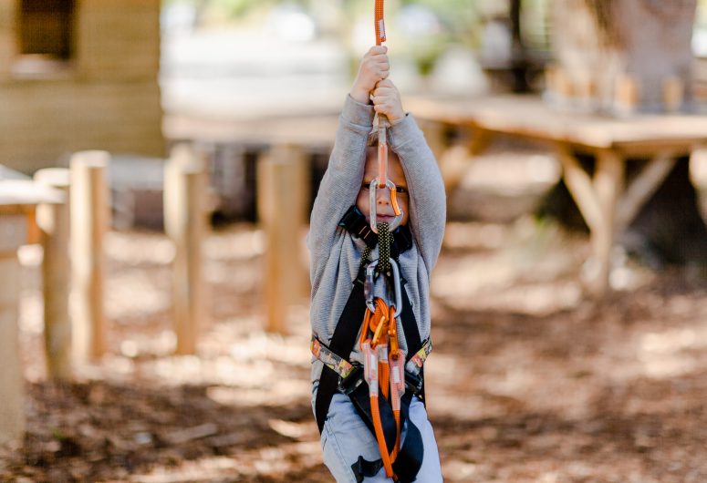 tree-climbing-course-child-2-years-experia-park-benodet