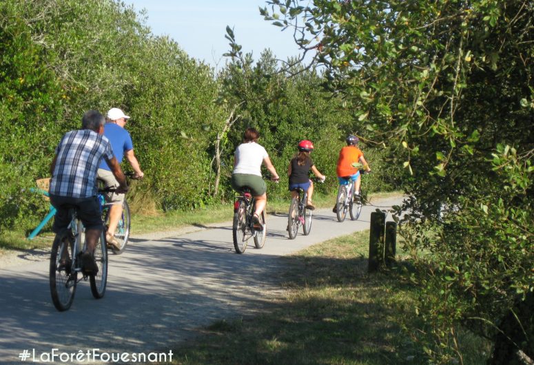 Cycle route